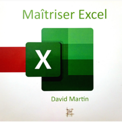 Maîtriser EXCEL. David Martin.